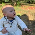 Felix - @felixwyatt1223 - Instagram