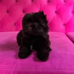 @york_.felix - Instagram