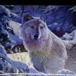 Felton Miller - @felton.miller.507 - Instagram