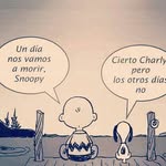 Fely Flores Quispe - @felyfloresquispe - Instagram