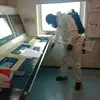 fmark fumigation&cleaning serv - @femialao81 - TikTok