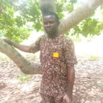Femi Bamidele - @bamidele6322 - Instagram