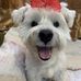 Feng Hsu - Facebook
