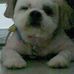 Feng-Jung Hsu - Facebook