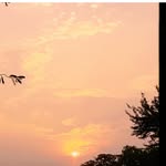 @fenil_doshi53 - Instagram