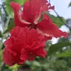 Fenny fenny liu - @fenny.fenny.liu - TikTok