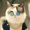 Fenny Liu919 - @30625179161 - TikTok