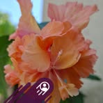 Fenny Liu - Facebook