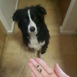 Fenton Joneserelli - @fentonjoneserelli - Instagram