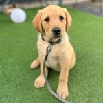 Fenton Walker-Williams - @fentonw_w23 - Instagram
