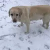 Ferdinand James - @ferdinand.james - TikTok