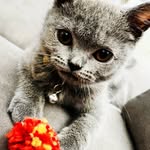 Ferdinand James - @king_ferdinand_james_iv - Instagram