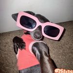 Ferdinand Jones - @402_fineass - Instagram