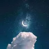 ferdinandfelizardo - @ferdinandfelizardo - TikTok