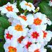 Ferdinand Moore - Facebook