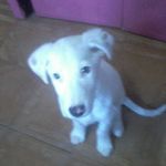 Ferdinand Ramirez - @ferdinand.ramirez.773 - Instagram