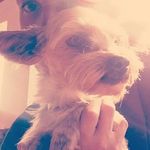 Alex TheRussian - @sir_wallace_ferdinand - Instagram