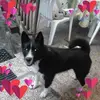 Ferenc Benkő - @ferenc.benk6 - TikTok