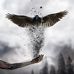 Deak Ferenc - Facebook
