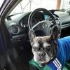 Ferenc Nemeth - @ferenc.nemeth - TikTok