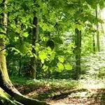 fereshteh hamidi - @_hamidi.fereshteh.9493 - Instagram