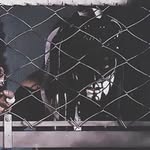 Fergal Devitt - @donut.demon.finn.balor - Instagram