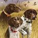 Fergal Mcgrath - Facebook