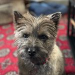 Baxter Mcmaster Ferguson - @baxter_mcmasterferguson - Instagram