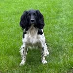 fergus_blackシ - @fergus_black - Instagram
