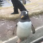 Fergus Black - @black_fergus - Instagram