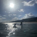 Fergus Black - @fergus_black_ - Instagram