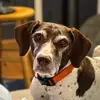 bradyferguson03 - @bradyferguson03 - TikTok