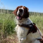 Carrick Fergus - @carrick_fergus - Instagram