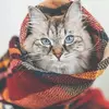 user7061063548493 - @carricfergust - TikTok