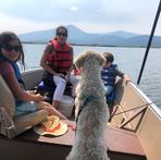Fergus Davidson - Facebook