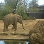 Fergus Doyle - @fergus.doyle - Instagram