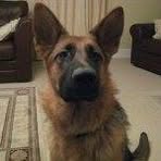 Fergus Doyle - Facebook