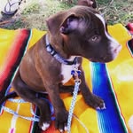 Fergus Edwards - @fergus_adventures - Instagram