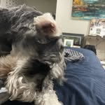 Fergus - @fergusgreenslade - Instagram
