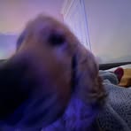 Fergus Hunter - Facebook