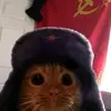 Fergus Jackson - @frgs.jcksn - TikTok