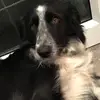 @Fergus-Scott-27john - @fergus.johnson - TikTok
