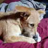 Johnny 142748 Lee - @ferguslee34 - TikTok