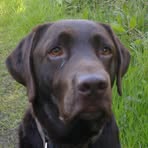 Fergus Maxwell - Facebook