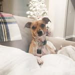 Fergus maxwell - @thelifeofferg - Instagram