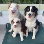 Fergus Hides-Pearson - @bigferg182 - Instagram