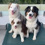 Fergus Hides-Pearson - Facebook