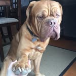 Porter Ferguson - @porter.ferguson - Instagram