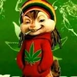 Fergus Ross - @fergus6071 - Instagram