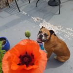 Fergus Smith - @smith.fergus - Instagram